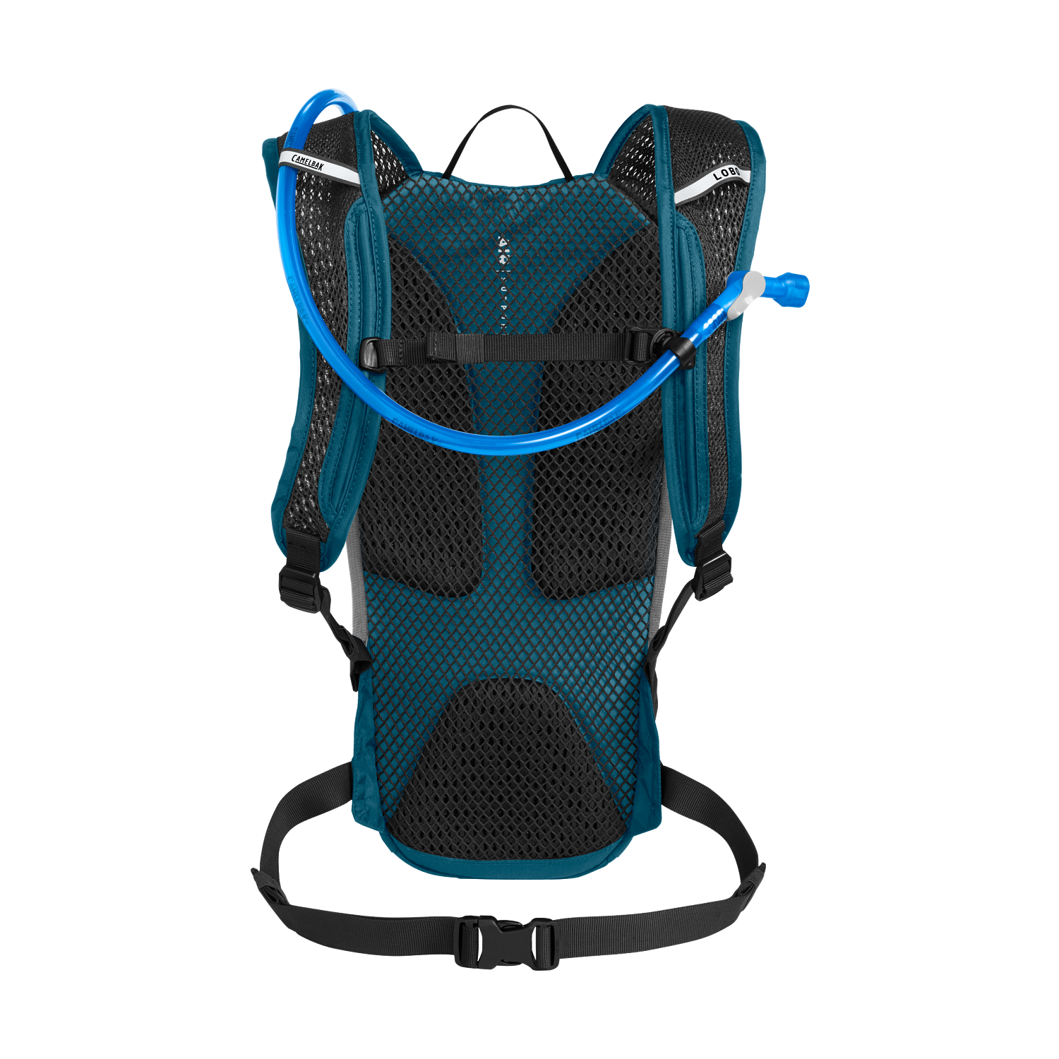 Lobo 9 70oz, Moroccan Blue/Black