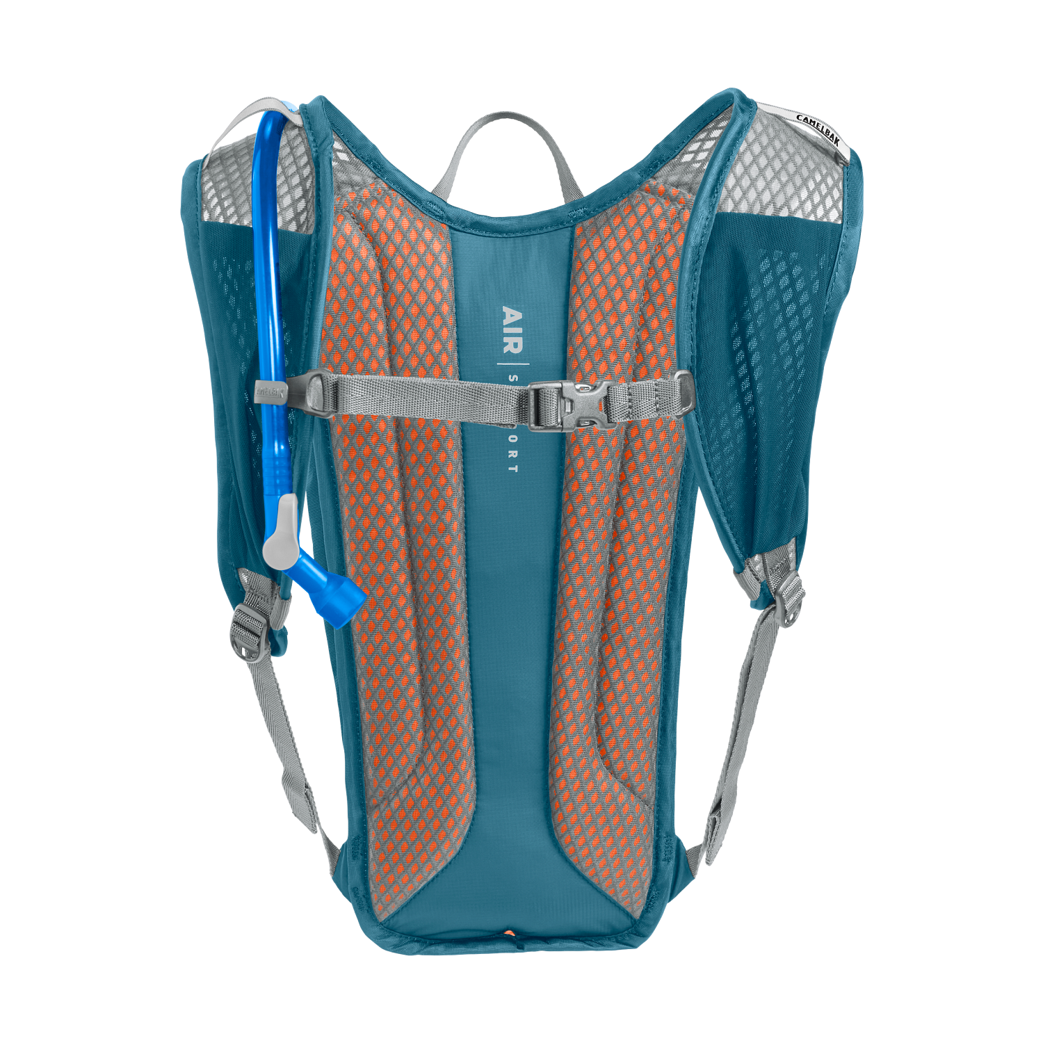 Rogue Light 7 70oz, Moroccan Blue